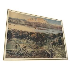 Vintage Wildlife Print Buffalo on the Move Bison Herd Western Americana Art READ